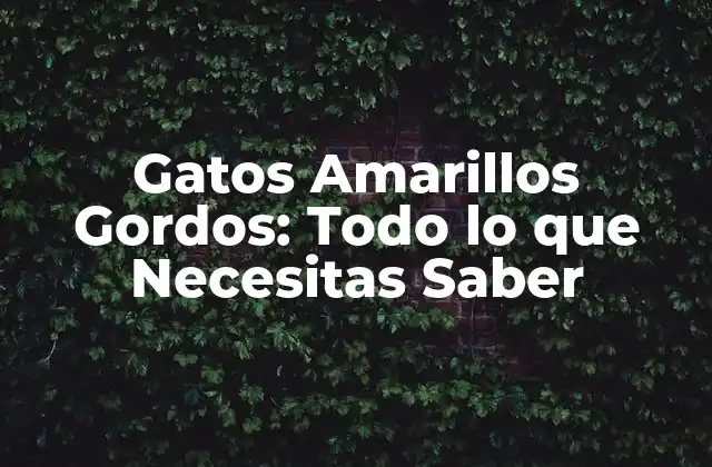 Gatos Amarillos Gordos: Todo Lo que Necesitas Saber