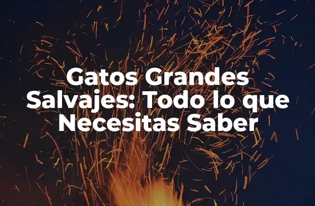 Gatos Grandes Salvajes: Todo Lo que Necesitas Saber