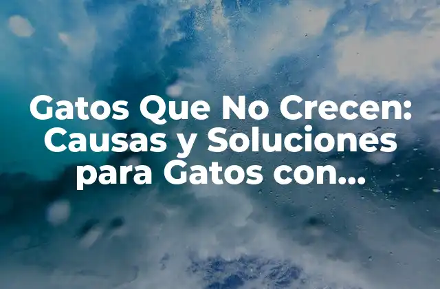 Gatos que No Crecen: Causas y Soluciones para Gatos con Estatura Limitada