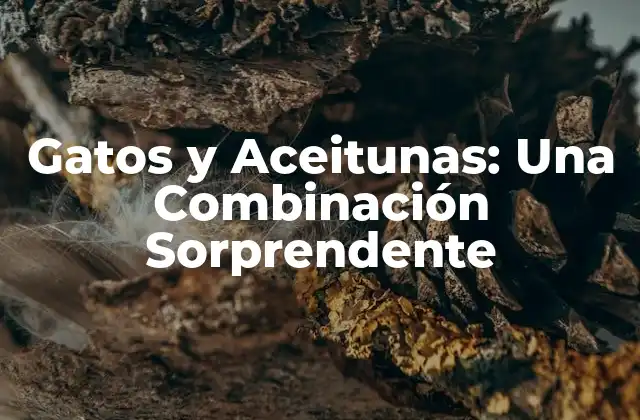 Gatos y Aceitunas: una Combinación Sorprendente 2 ¿Por qué los Gatos Amaban las Aceitunas?