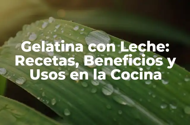 Gelatina con Leche: Recetas, Beneficios y Usos en la Cocina