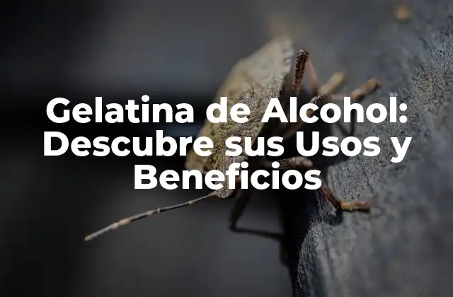 ¿Qué es la Gelatina de Alcohol?