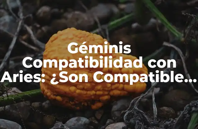 Géminis Compatibilidad con Aries: ¿son Compatible los Géminis y los Aries?
