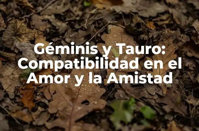 Géminis y Tauro: Compatibilidad en el Amor y la Amistad