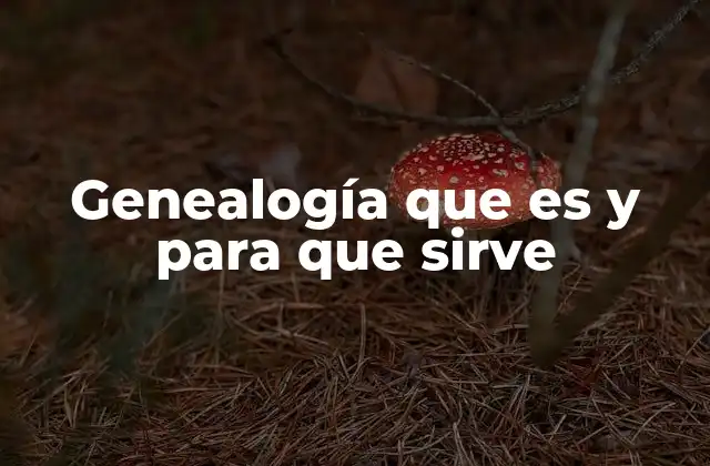 El valor emocional y cultural de reconstruir los orígenes familiares