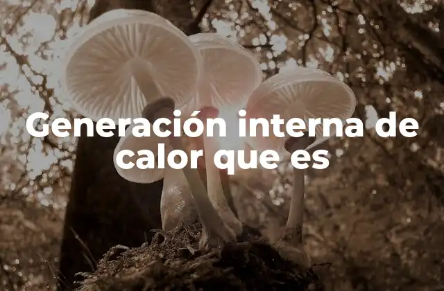 Generación Interna de Calor que es