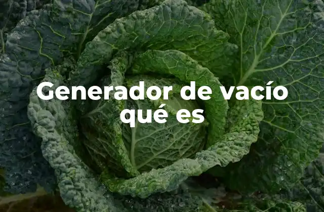 Generador de Vacío Qué es