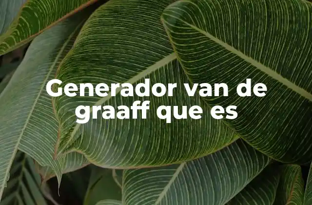 Generador Van de Graaff que es