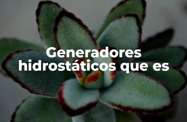 Generadores Hidrostáticos que es