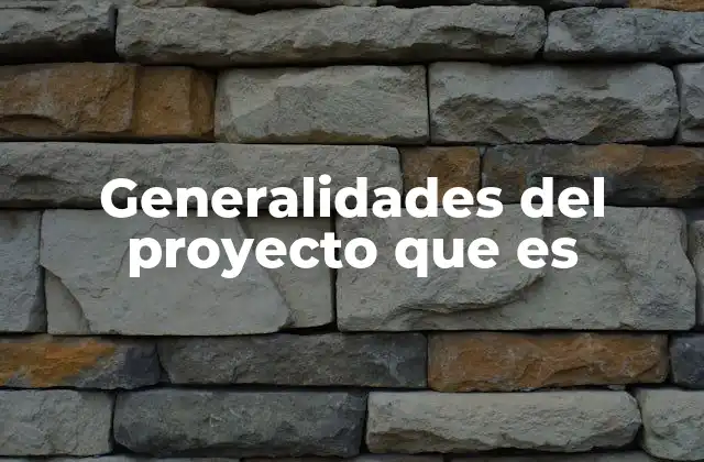 Generalidades Del Proyecto que es