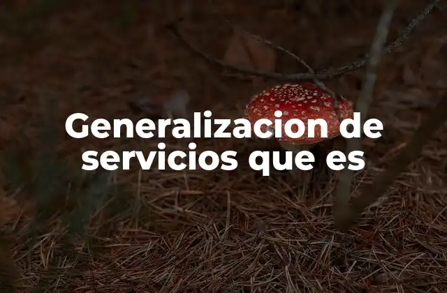 Generalizacion de Servicios que es