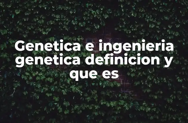 Genetica e Ingenieria Genetica Definicion y que es