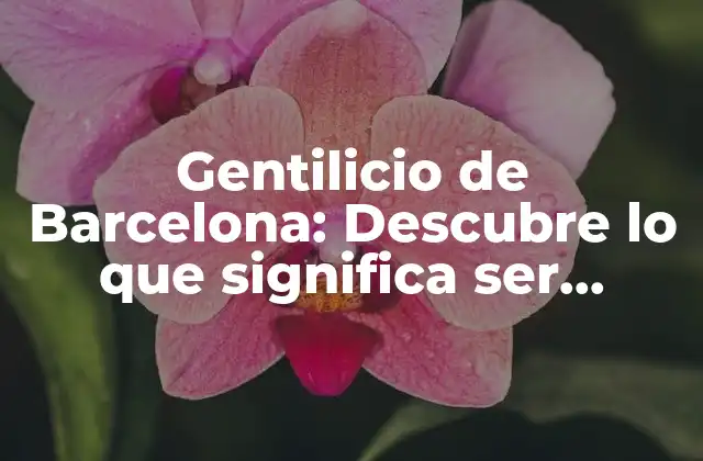 Gentilicio de Barcelona: Descubre Lo que Significa Ser Barcelonés 2 Orígenes del Gentilicio de Barcelona