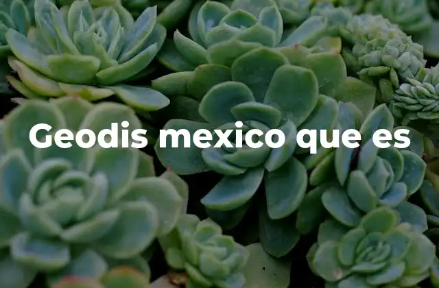 Geodis Mexico que es