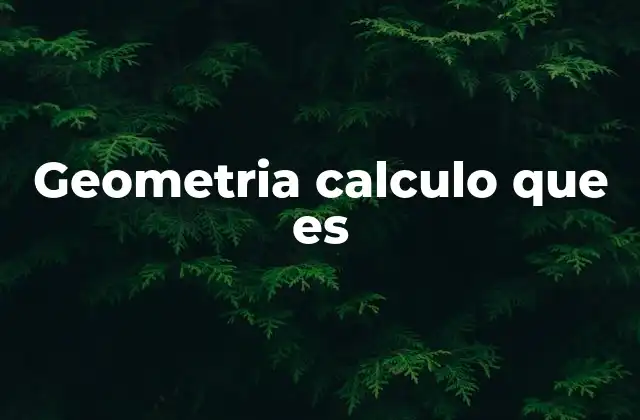 Geometria Calculo que es