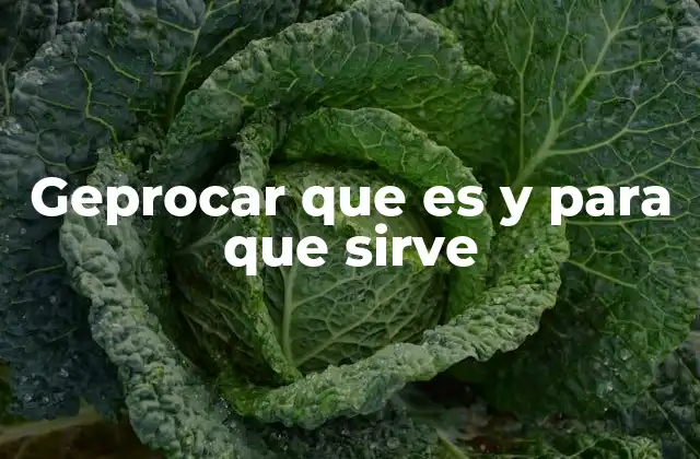 La importancia de los sistemas de gestión logística modernos