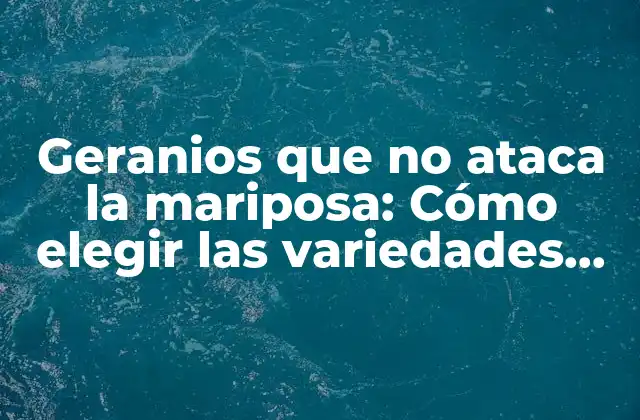 ¿Por qué las mariposas se sienten atraídas por los geranios?