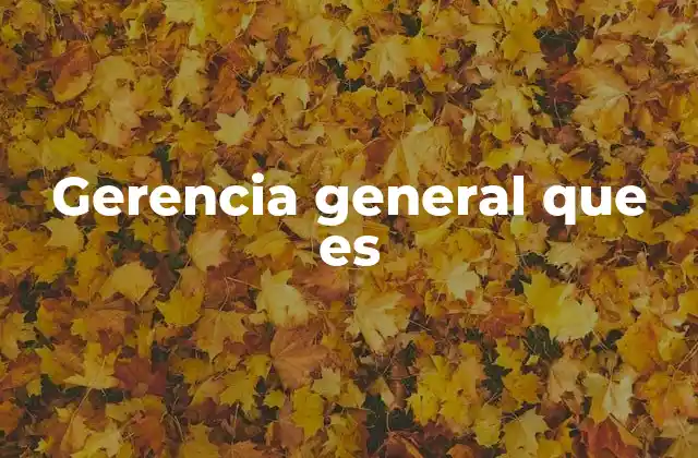 Gerencia General que es