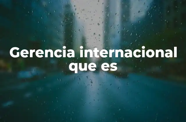 Gerencia Internacional que es