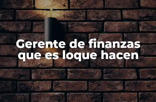 Gerente de Finanzas que es Loque Hacen