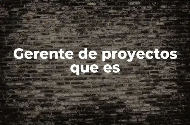 Gerente de Proyectos que es