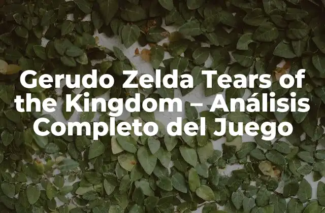 Gerudo Zelda Tears Of The Kingdom – Análisis Completo Del Juego
