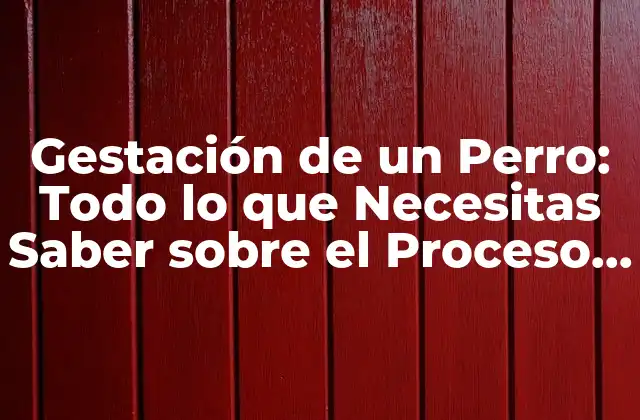 Gestación de un Perro: Todo Lo que Necesitas Saber sobre el Proceso de Embarazo Canino