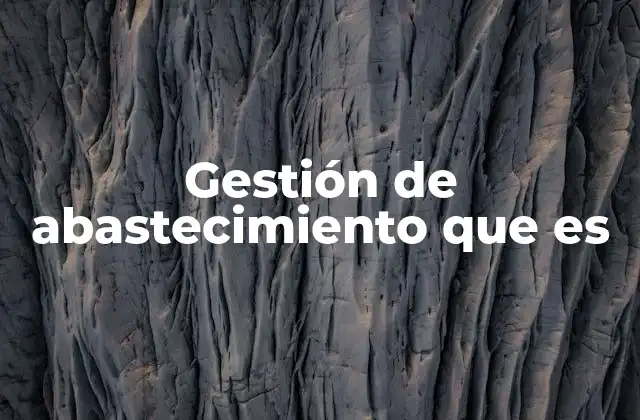 Gestión de Abastecimiento que es