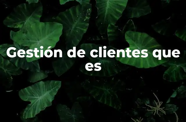 Gestión de Clientes que es