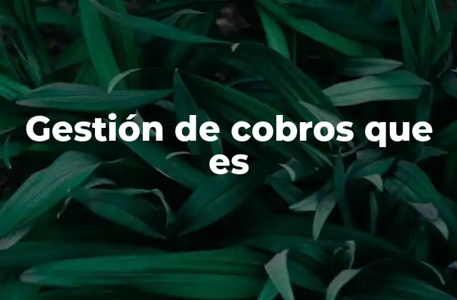 Gestión de Cobros que es