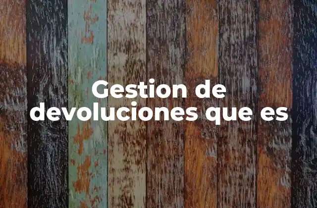 Gestion de Devoluciones que es