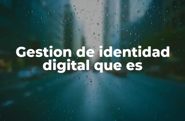 Gestion de Identidad Digital que es