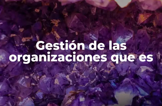 Gestión de las Organizaciones que es