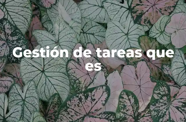 Gestión de Tareas que es