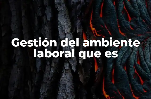 Gestión Del Ambiente Laboral que es