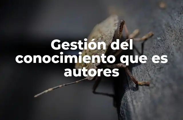 Gestión Del Conocimiento que es Autores 2 El rol de los creadores en la evolución del conocimiento organizacional