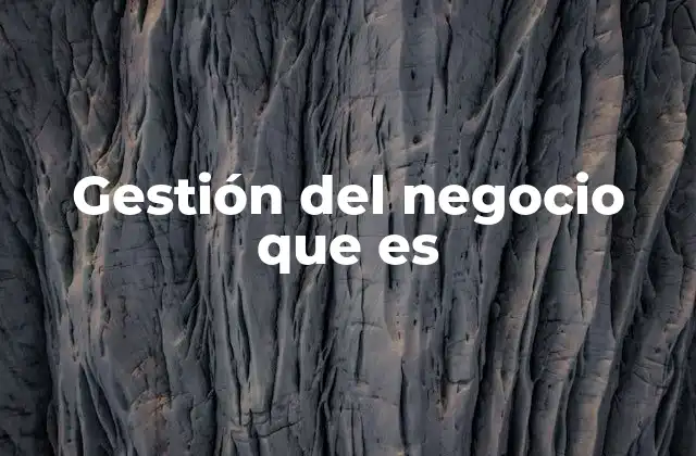 Gestión Del Negocio que es