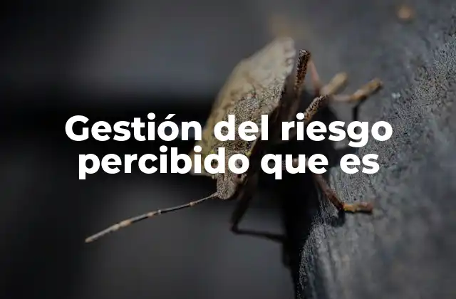 Gestión Del Riesgo Percibido que es