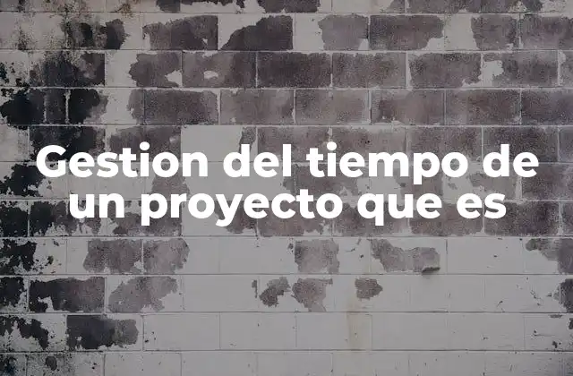 Gestion Del Tiempo de un Proyecto que es