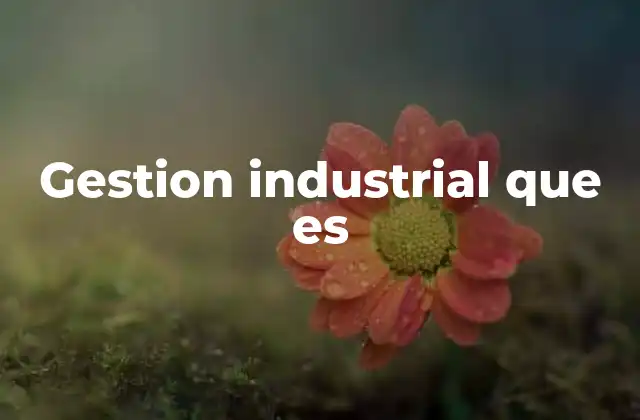 Gestion Industrial que es