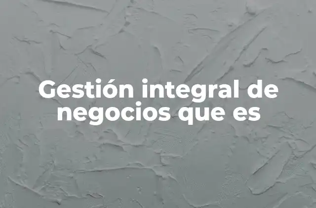 Gestión Integral de Negocios que es 2 La importancia de una visión unificada en la empresa