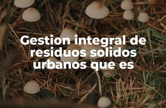 Gestion Integral de Residuos Solidos Urbanos que es