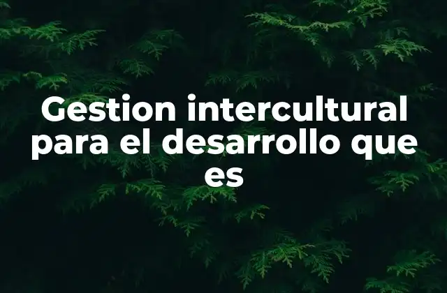 Gestion Intercultural para el Desarrollo que es