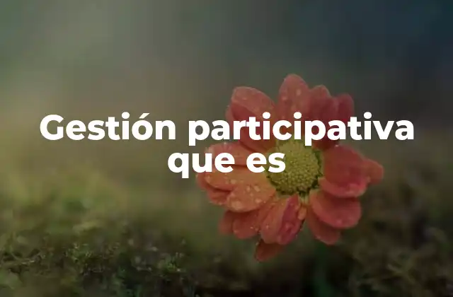Gestión Participativa que es