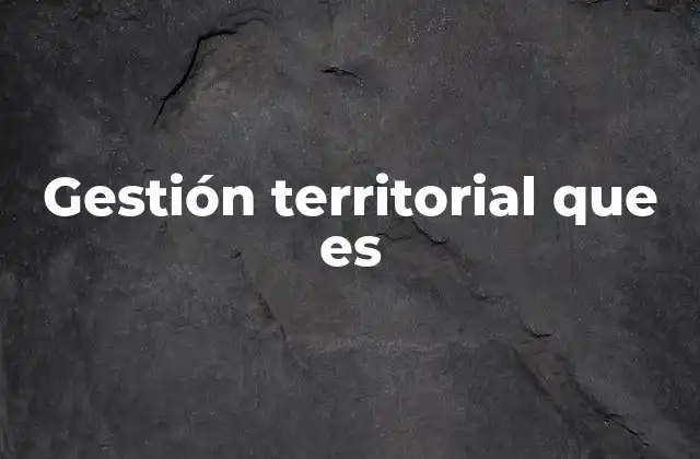 Gestión Territorial que es
