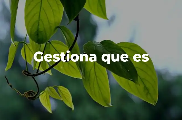 Gestiona que es