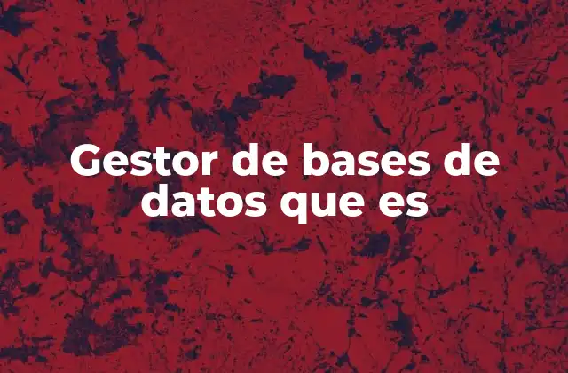 Gestor de Bases de Datos que es