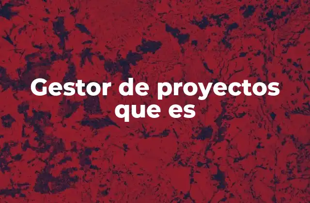 Gestor de Proyectos que es
