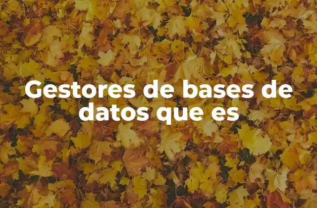 Gestores de Bases de Datos que es