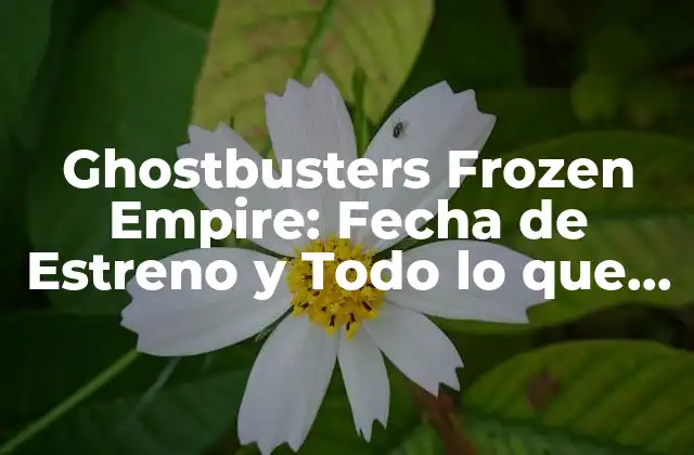 Ghostbusters Frozen Empire: Fecha de Estreno y Todo Lo que Necesitas Saber